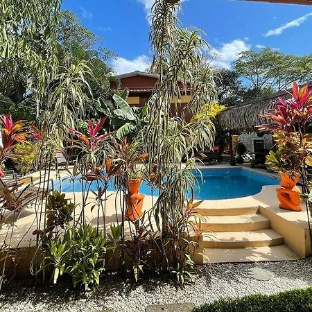 Samara Palm Lodge Ngoại thất bức ảnh