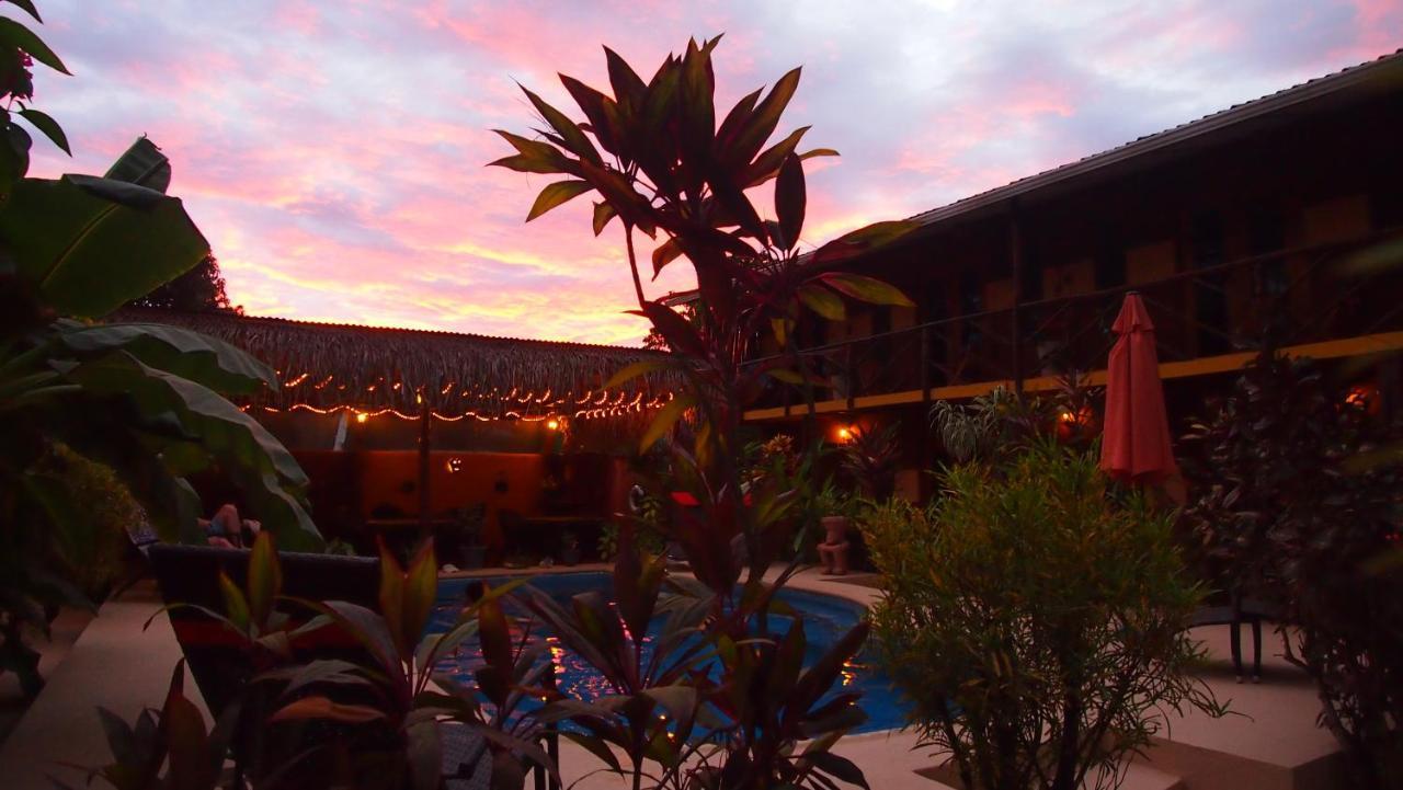 Samara Palm Lodge Ngoại thất bức ảnh