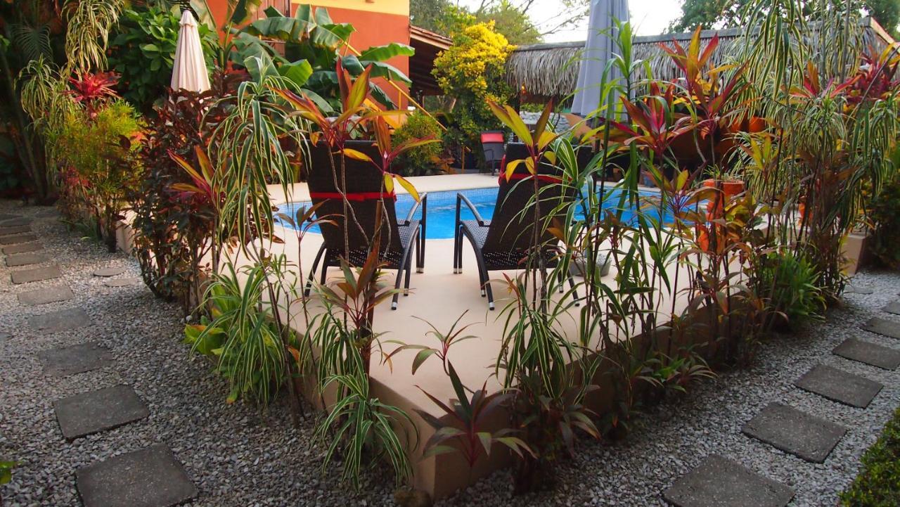 Samara Palm Lodge Ngoại thất bức ảnh