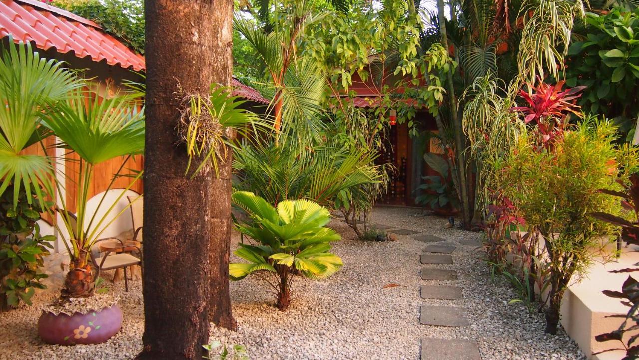 Samara Palm Lodge Ngoại thất bức ảnh